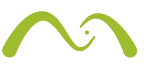 nextlimit maxwell logo
